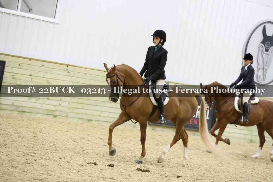 Proof 22BUCK_03213