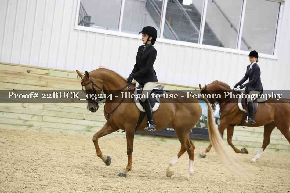 Proof 22BUCK_03214