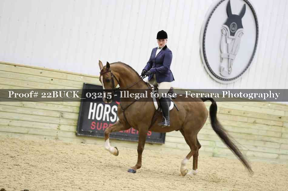 Proof 22BUCK_03215