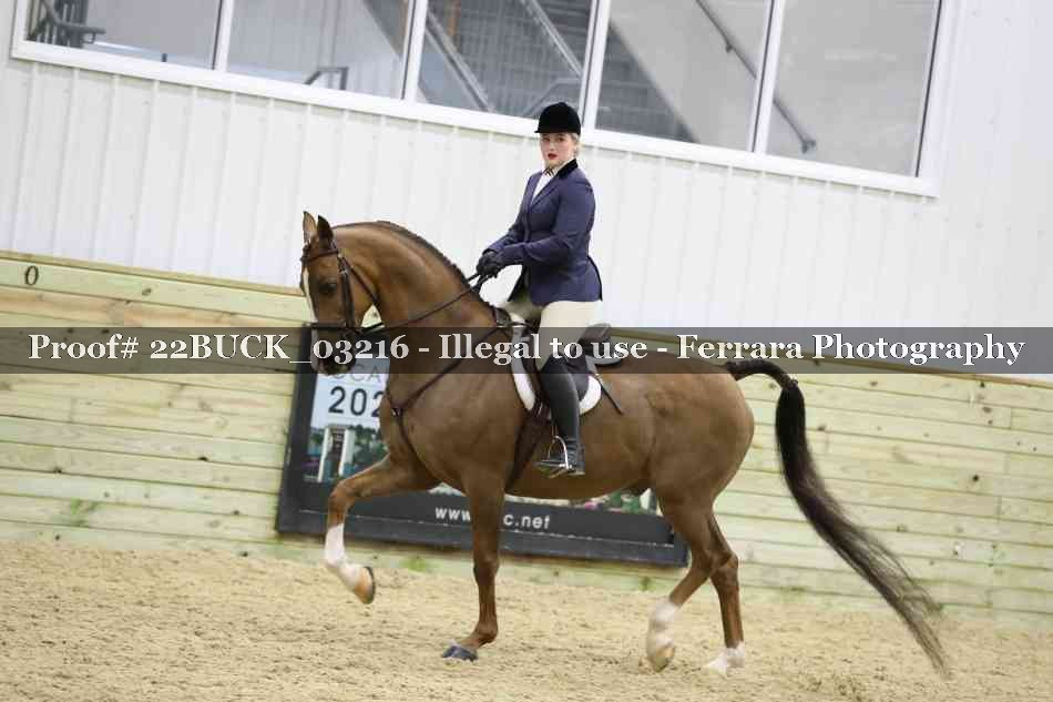 Proof 22BUCK_03216