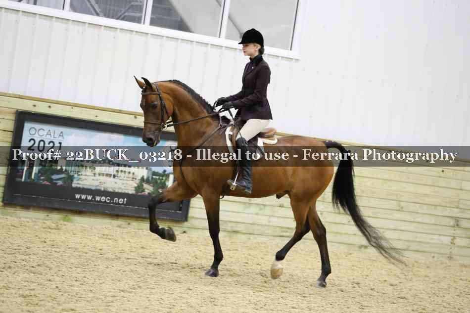 Proof 22BUCK_03218
