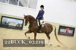 22BUCK_03219 proof