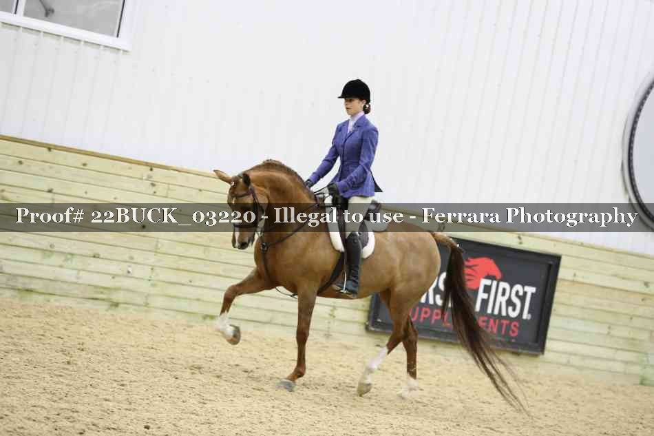 Proof 22BUCK_03220