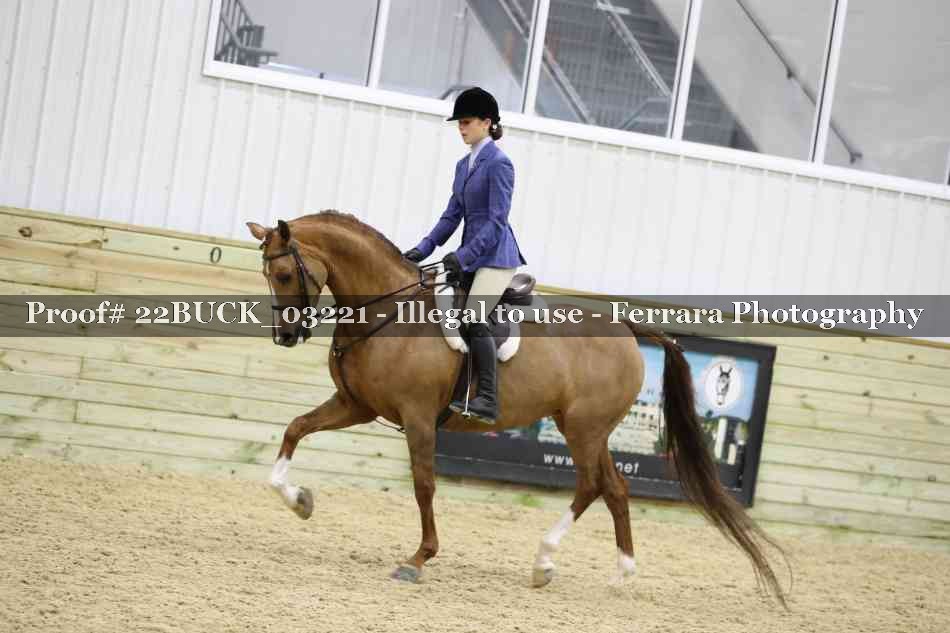 Proof 22BUCK_03221