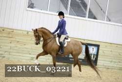 22BUCK_03221 proof