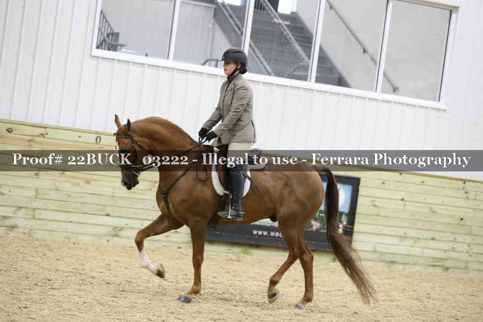 Proof 22BUCK_03222