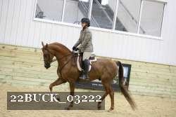 22BUCK_03222 proof