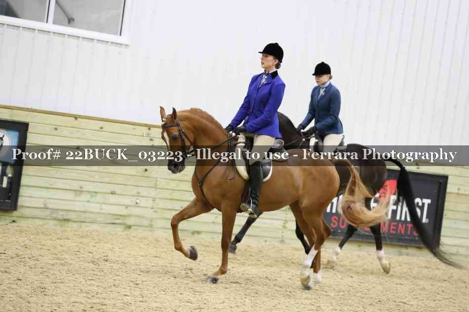 Proof 22BUCK_03223