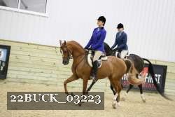 22BUCK_03223 proof