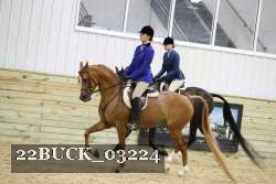22BUCK_03224 proof