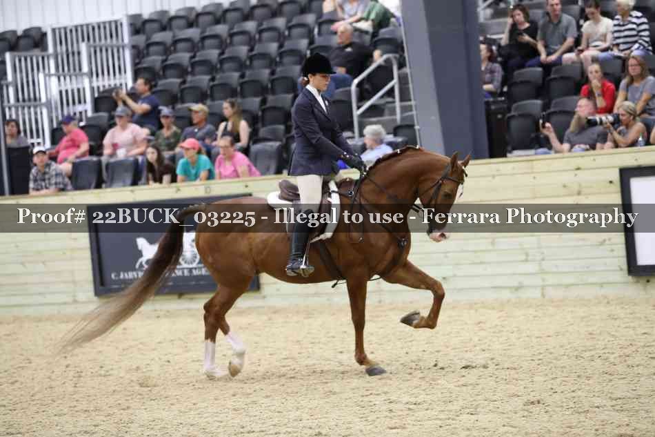 Proof 22BUCK_03225