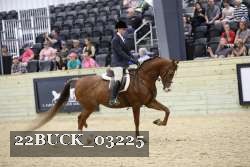 22BUCK_03225 proof