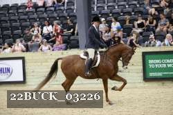 22BUCK_03226 proof