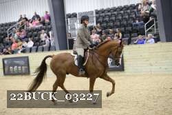 22BUCK_03227 proof