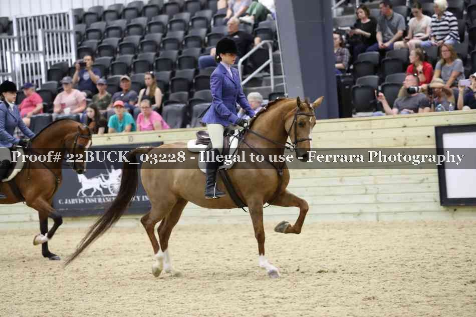 Proof 22BUCK_03228