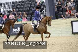 22BUCK_03228 proof