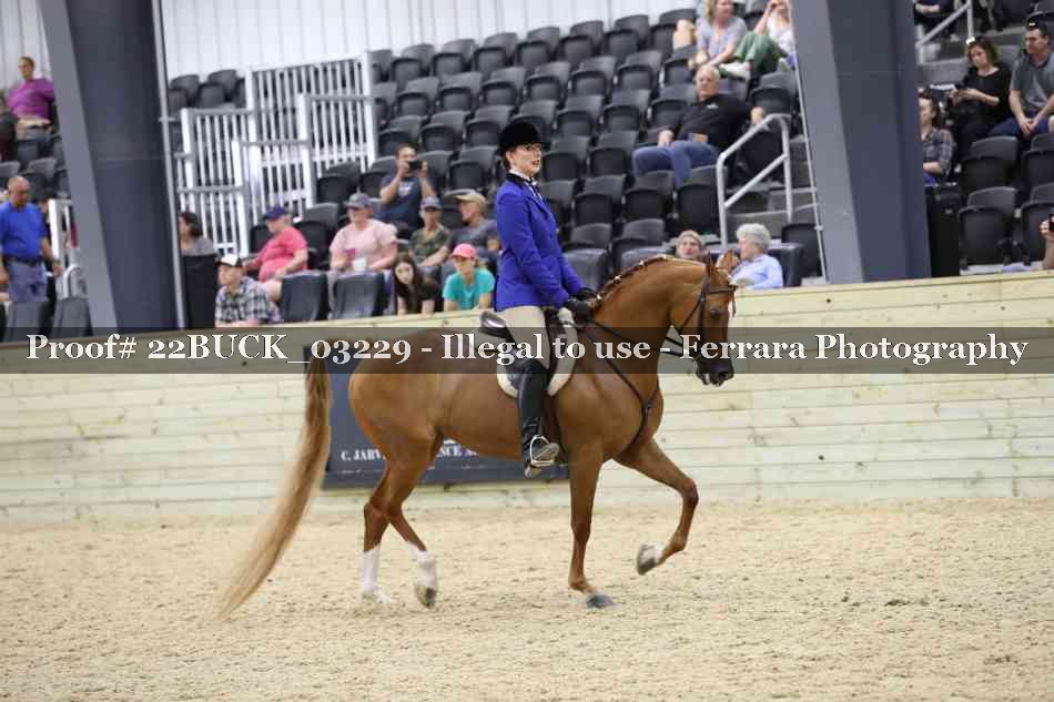 Proof 22BUCK_03229