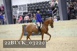22BUCK_03229 proof