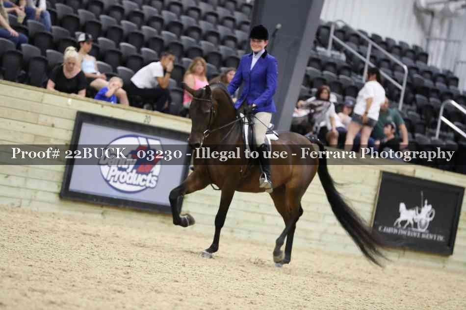 Proof 22BUCK_03230
