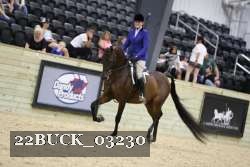 22BUCK_03230 proof