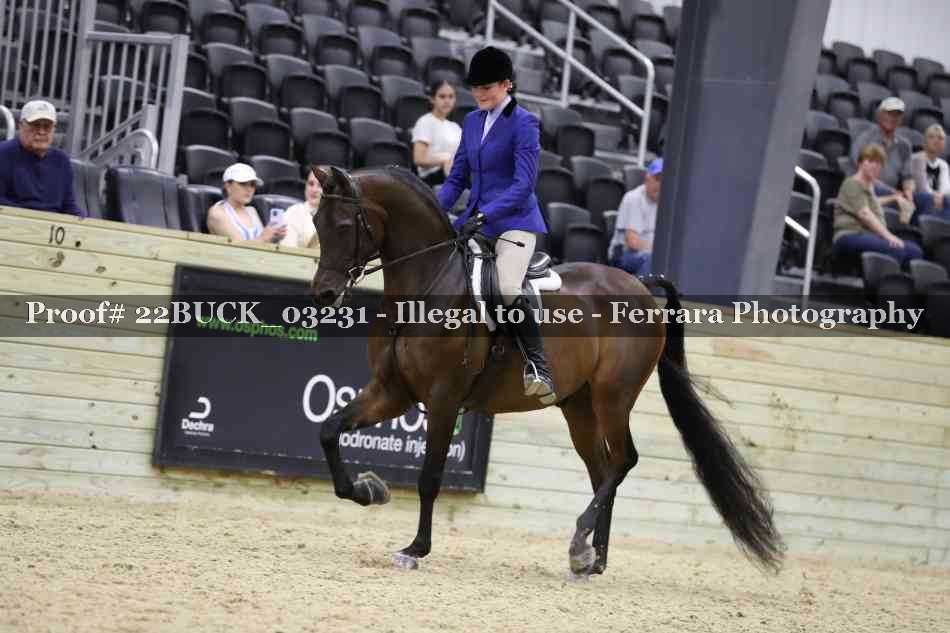 Proof 22BUCK_03231