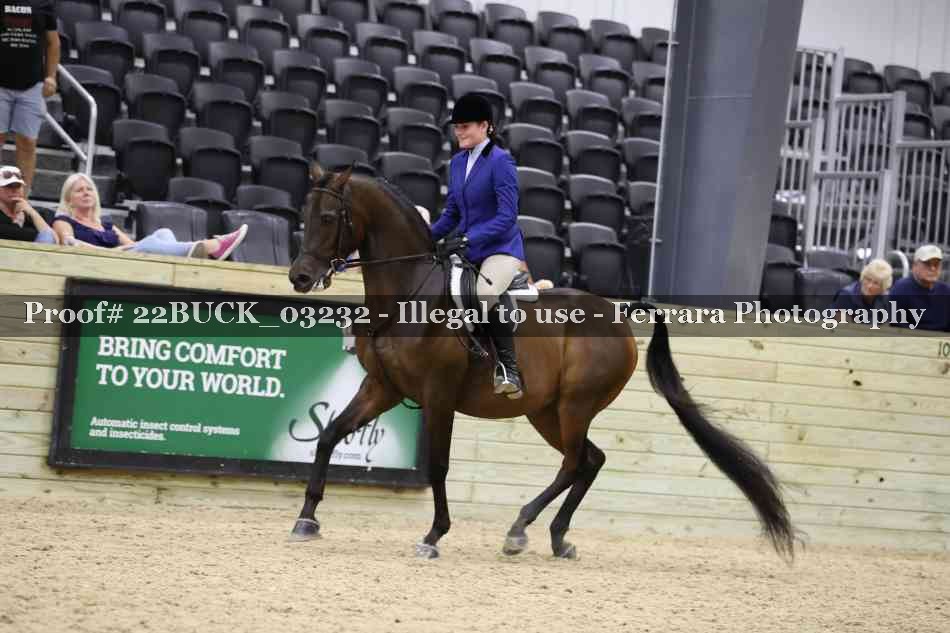 Proof 22BUCK_03232