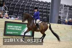 22BUCK_03232 proof