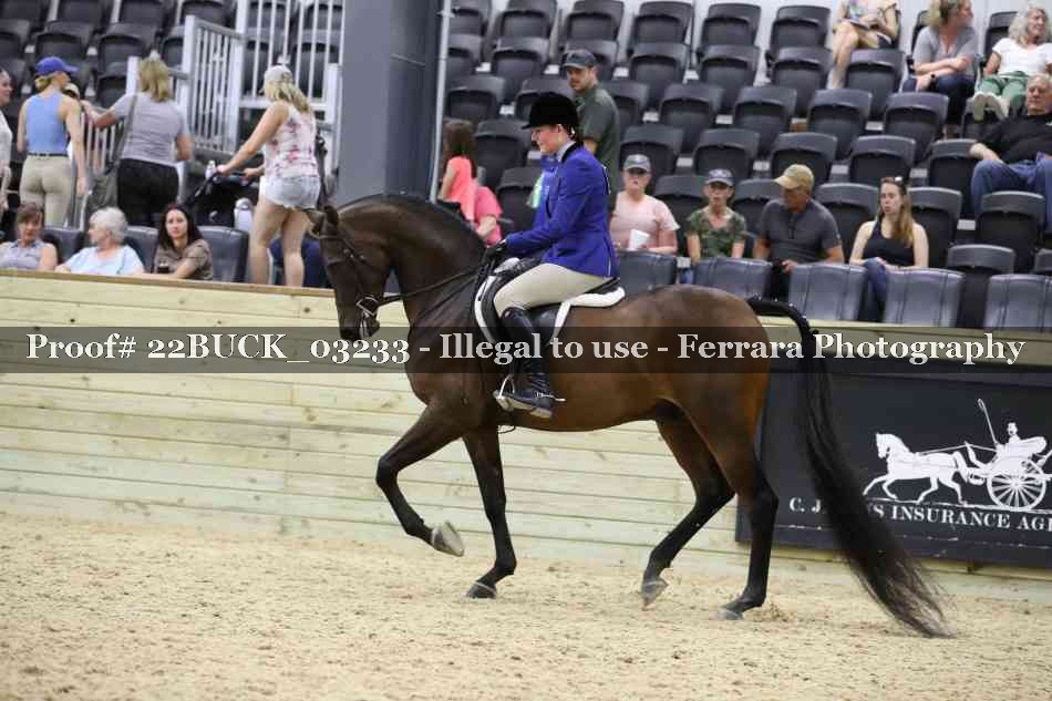 Proof 22BUCK_03233