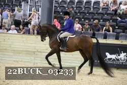 22BUCK_03233 proof