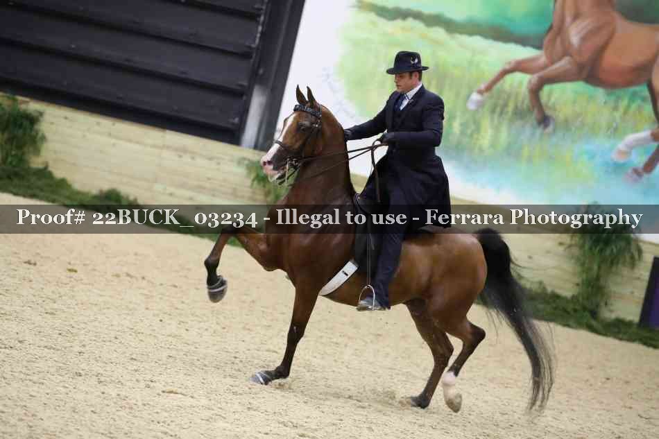 Proof 22BUCK_03234