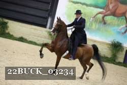 22BUCK_03234 proof