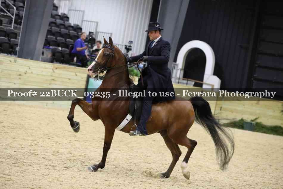 Proof 22BUCK_03235