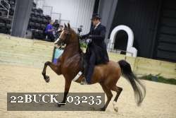 22BUCK_03235 proof