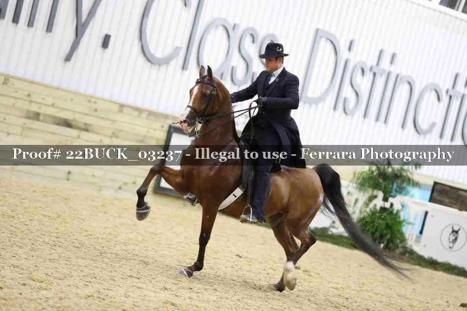 Proof 22BUCK_03237