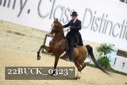 22BUCK_03237 proof