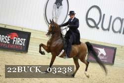 22BUCK_03238 proof