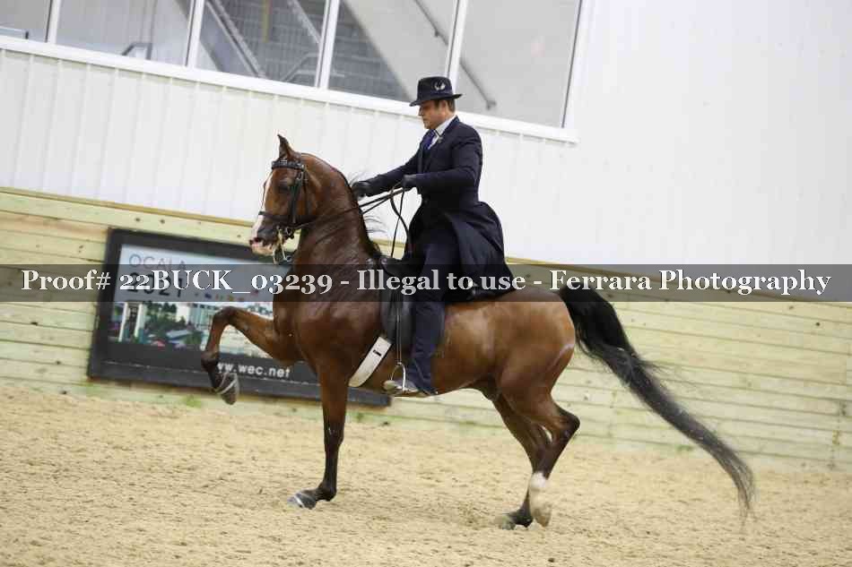 Proof 22BUCK_03239