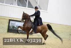 22BUCK_03239 proof