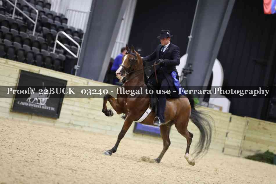 Proof 22BUCK_03240