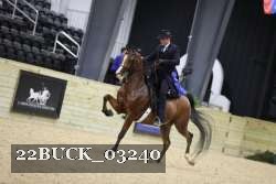 22BUCK_03240 proof