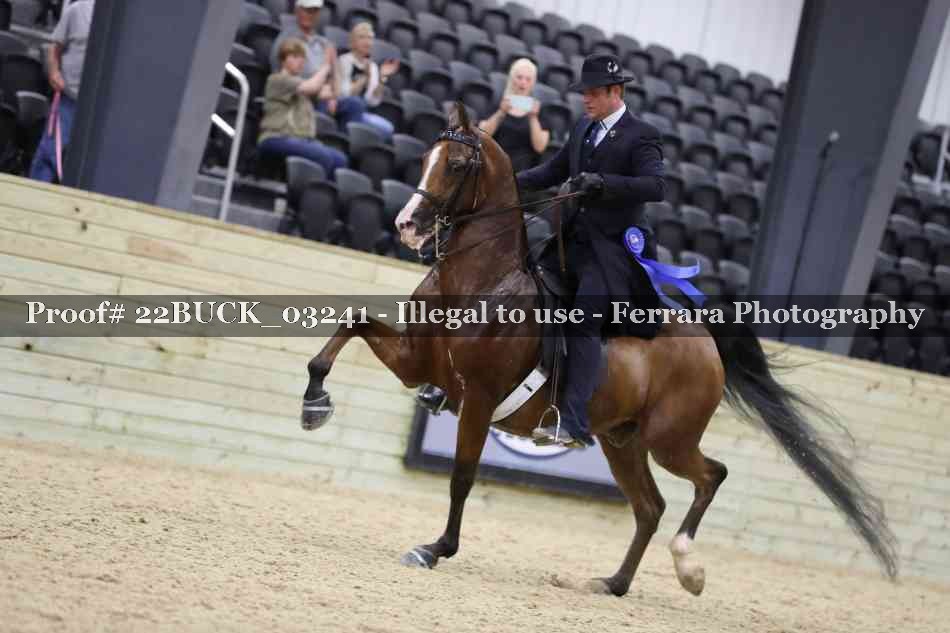 Proof 22BUCK_03241