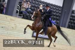 22BUCK_03241 proof