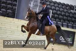 22BUCK_03242 proof