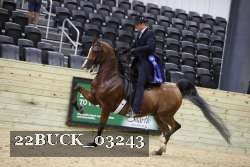 22BUCK_03243 proof