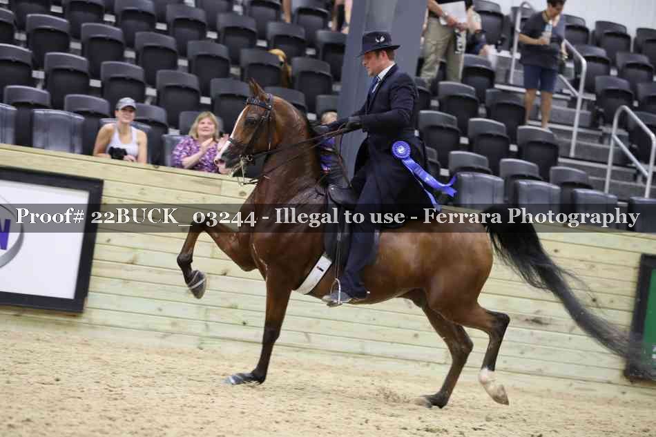 Proof 22BUCK_03244
