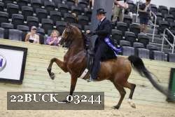 22BUCK_03244 proof