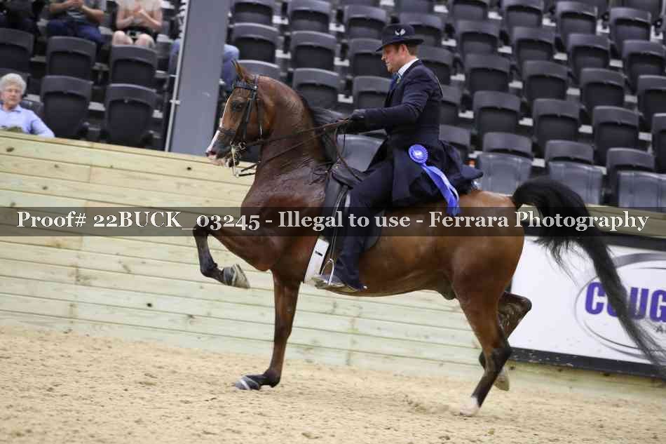 Proof 22BUCK_03245