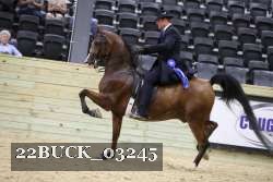 22BUCK_03245 proof
