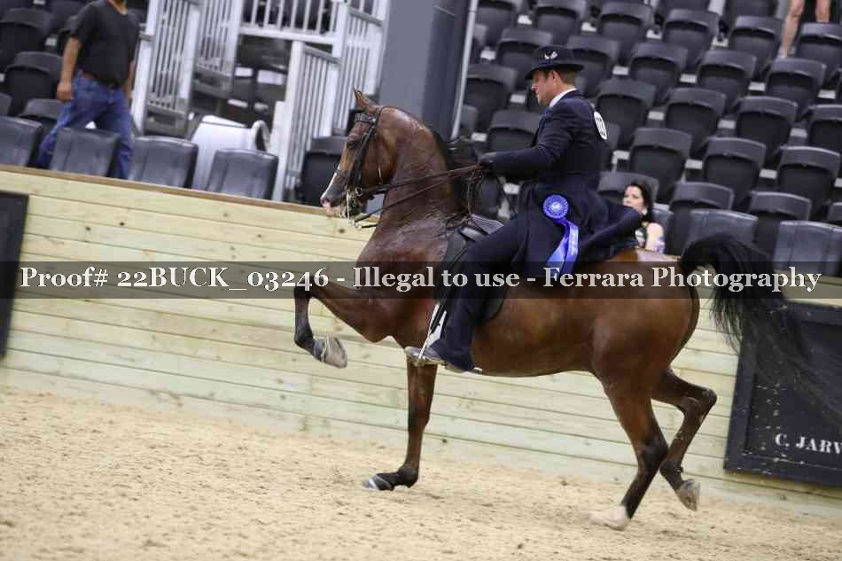 Proof 22BUCK_03246