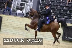 22BUCK_03246 proof